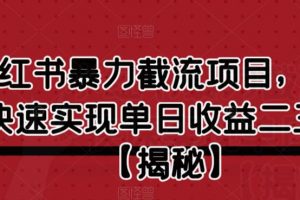 小红书暴力截流项目,新手快速实现单日收益二三百【仅揭秘】