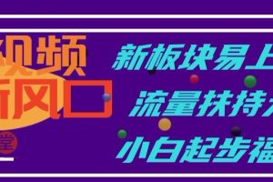 中视频新风口，新板块易上手，流量扶持大，小白起步福音【揭秘】