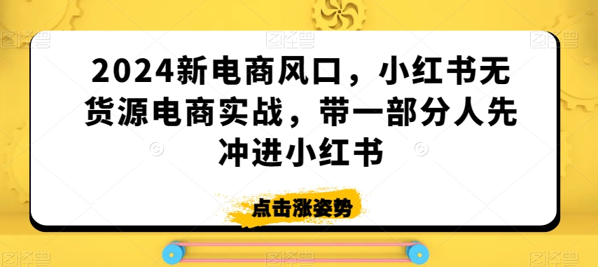2024新电商风口,小红书无货源电商实战,带一部分人先冲进小红书插图 2024新电商风口,小红书无货源电商实战,带一部分人先冲进小红书